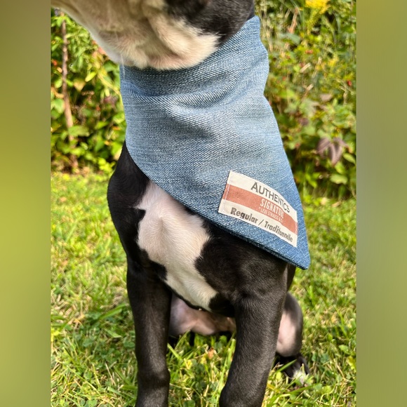 13” Levi’s Dog Bandana, Levi Strauss, Levi Jeans, Repurposed Levi Strauss - Picture 4 of 10